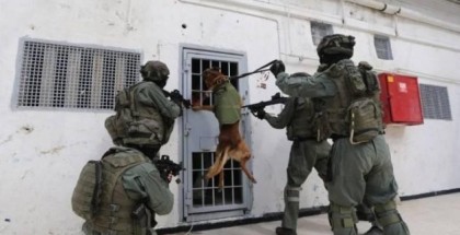"واعد": اقتحام وقمع الأسرى في السجون تطرف إسرائيلي سيؤدي للمواجهة